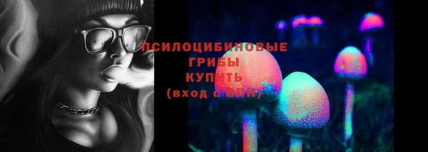 мескалин Коряжма
