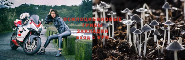 мескалин Коряжма