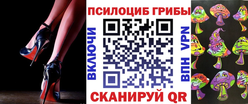 Купить  Южно-Сухокумск  Галлюциногенные грибы мицелий 